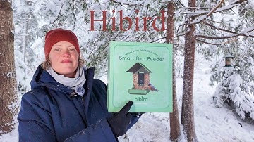 Hibird van Camojojo - Ongelooflijke 4K slimme vogelvoederbak met camera!