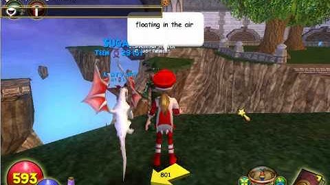Wizard101: Floating Glitch