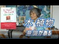 木 植物とお話しできる 意識の高い存在 山川亜希子・水田静子のトーク スピリチュアル学校103