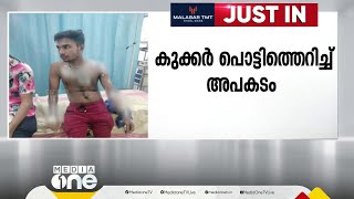 കോഴിക്കോട് കുക്കർ പൊട്ടിത്തെറിച്ച് രണ്ട് പേർക്ക് പരിക്ക്