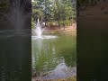 Water Features at The Elvis Presley Birthplace in Tupelo Mississippi. #elvis #memphismafiakid