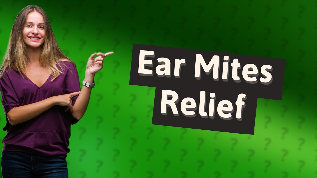 How do you use coconut oil for ear mites in cats? YouTube