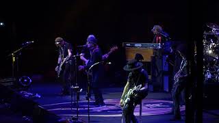Hollywood Vampires - All Young Dudes