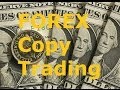 Best Forex Copy Trade Broker and How to Find the Best Traders to Follow