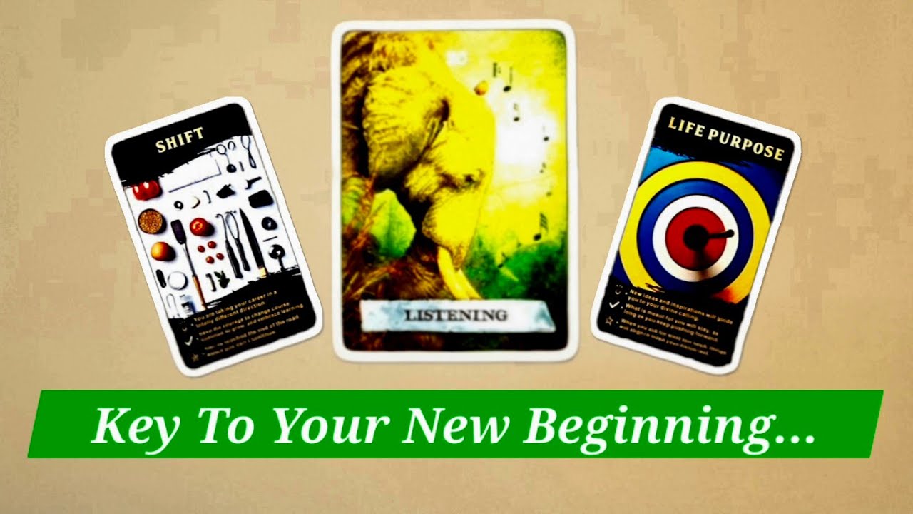 What The Universe Has Been Nudging You To Release ✨ Timeless Tarot Reading