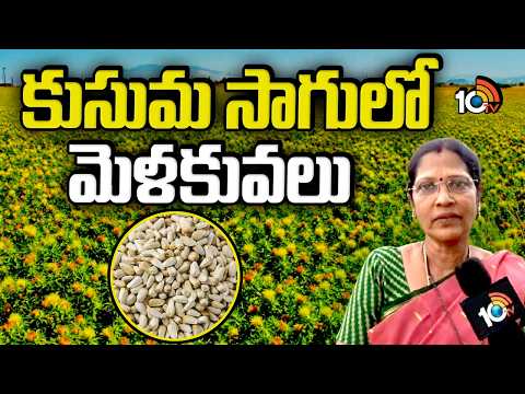 Kusuma Cultivation Management | Safflower Farming | కుసుమ సాగులో మెళకువలు | Matti Manishi | 10TV - 10TVNEWSTELUGU