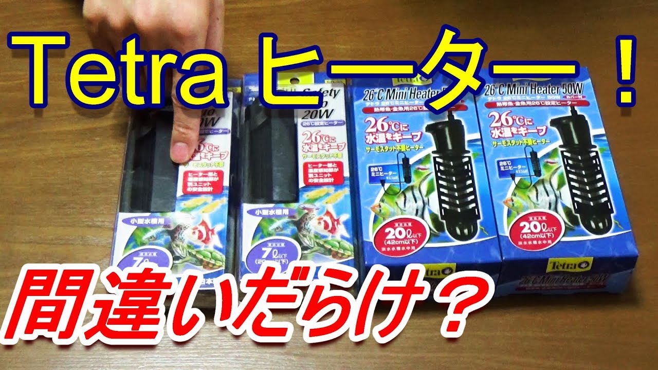 熱帯魚ヒーター買った ベタ 水槽 Youtube