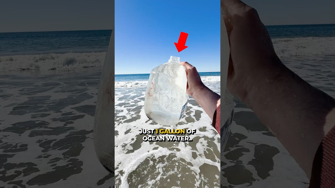 How Much Salt is in the Entire Ocean 😳