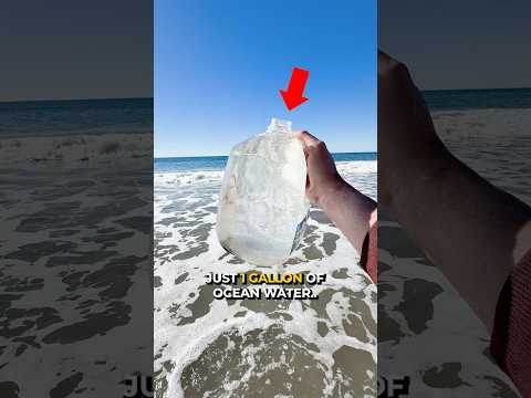 How Much Salt is in the Entire Ocean 😳