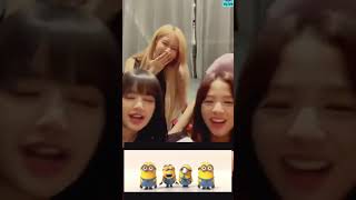 Minion’s Song BATTLE by BLACKPINK !! ♥️
