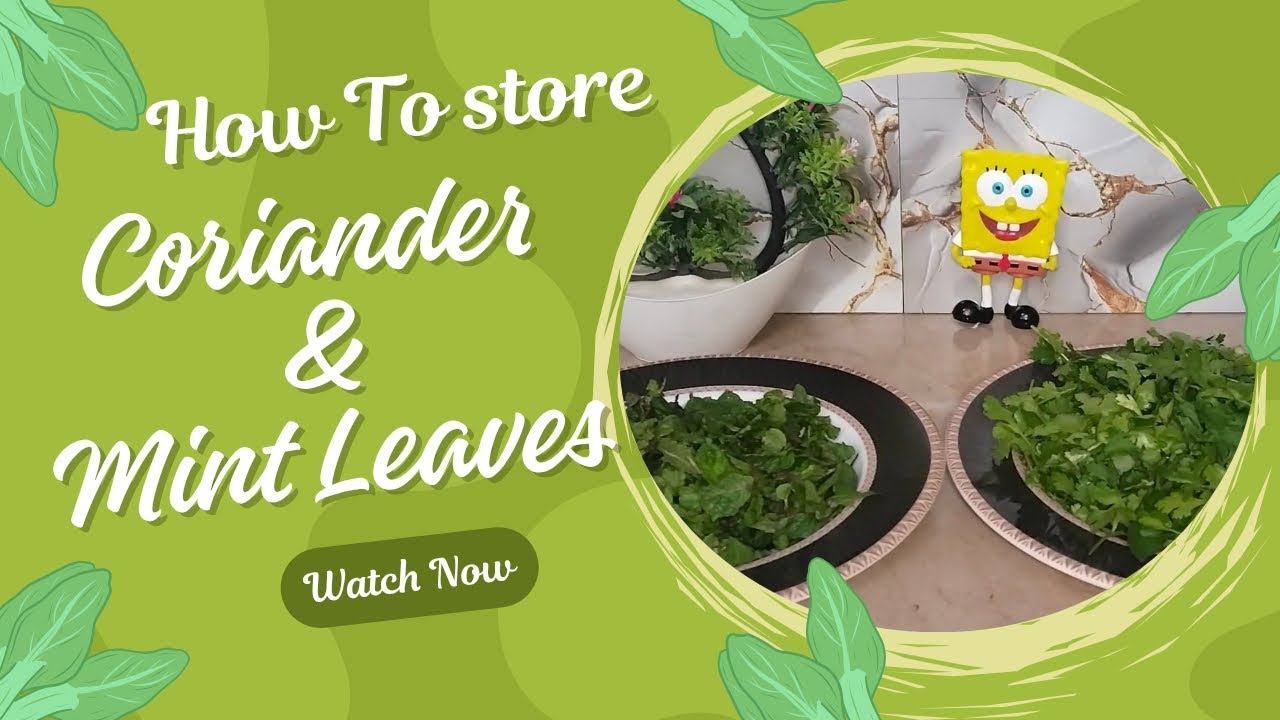 How to Store Coriander & Mint Leaves  |  keep your coriander & mint leaves fresh for up to a week |
