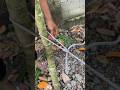 Knot, tighten and loosen✅ #ropeknots #knot #rope #shortvideo #tutorial #tips #tricks #how #diy