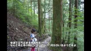 伊藤三巳華『スピ☆散歩』玉置神社取材（HONKOWA2014年7月号掲載）
