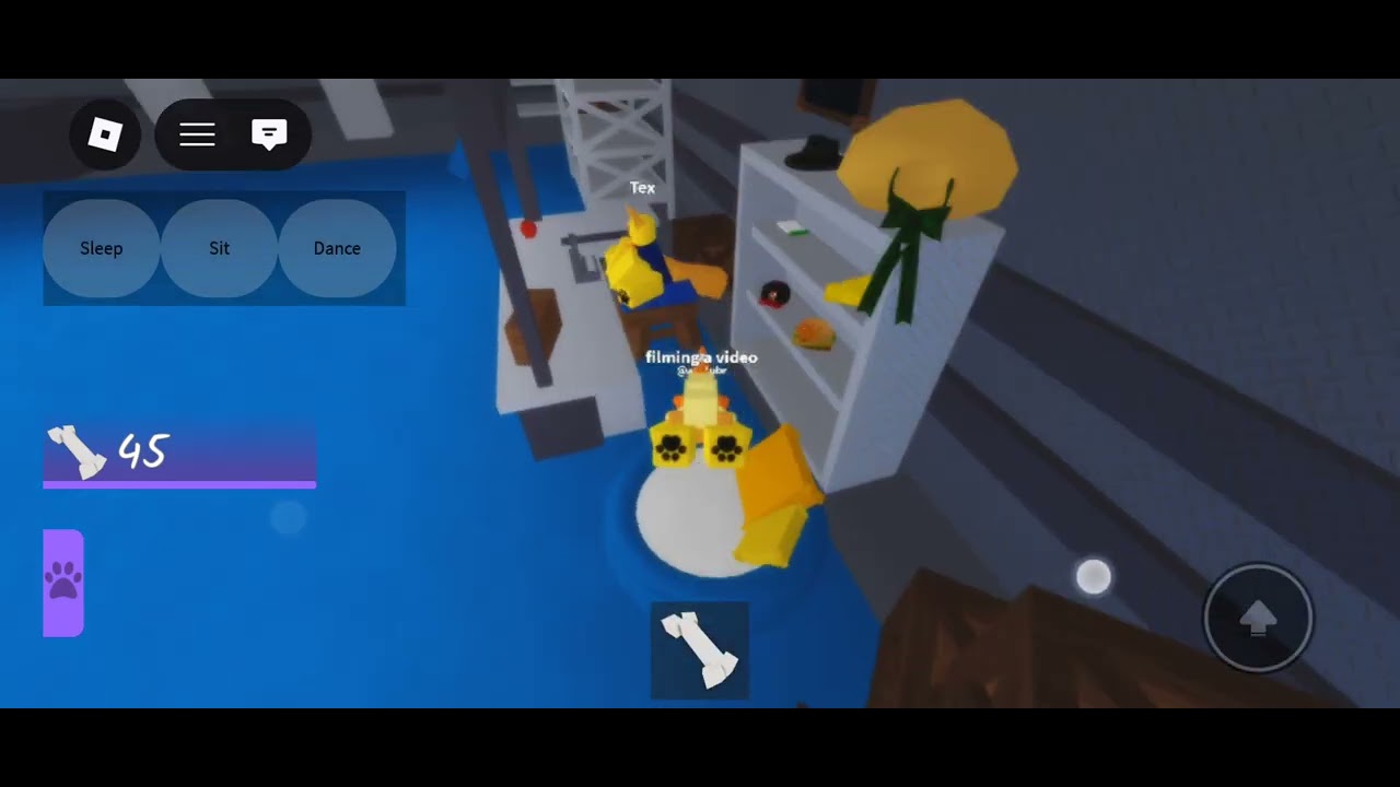 Playing be a dumb dog part 1