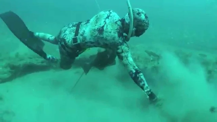 World Record Grouper and Giant Lobsters - Spearfis...