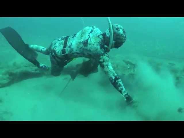 World Record Grouper and Giant Lobsters - Spearfishing with Cameron Kirkconnell class=