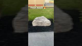 Nothings better then that fresh mulch look #money #landscaping #motivation #lawngoals