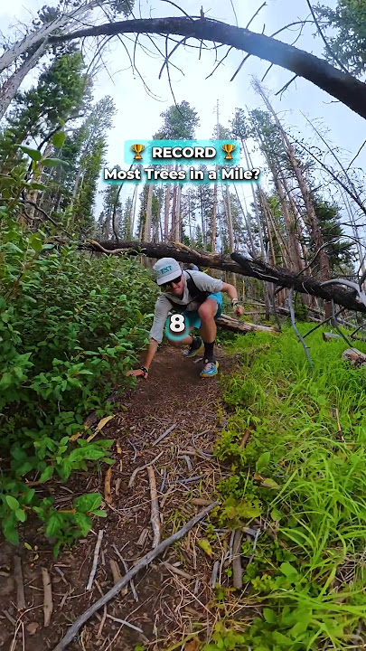Possibly the WORST mile to run 🥴