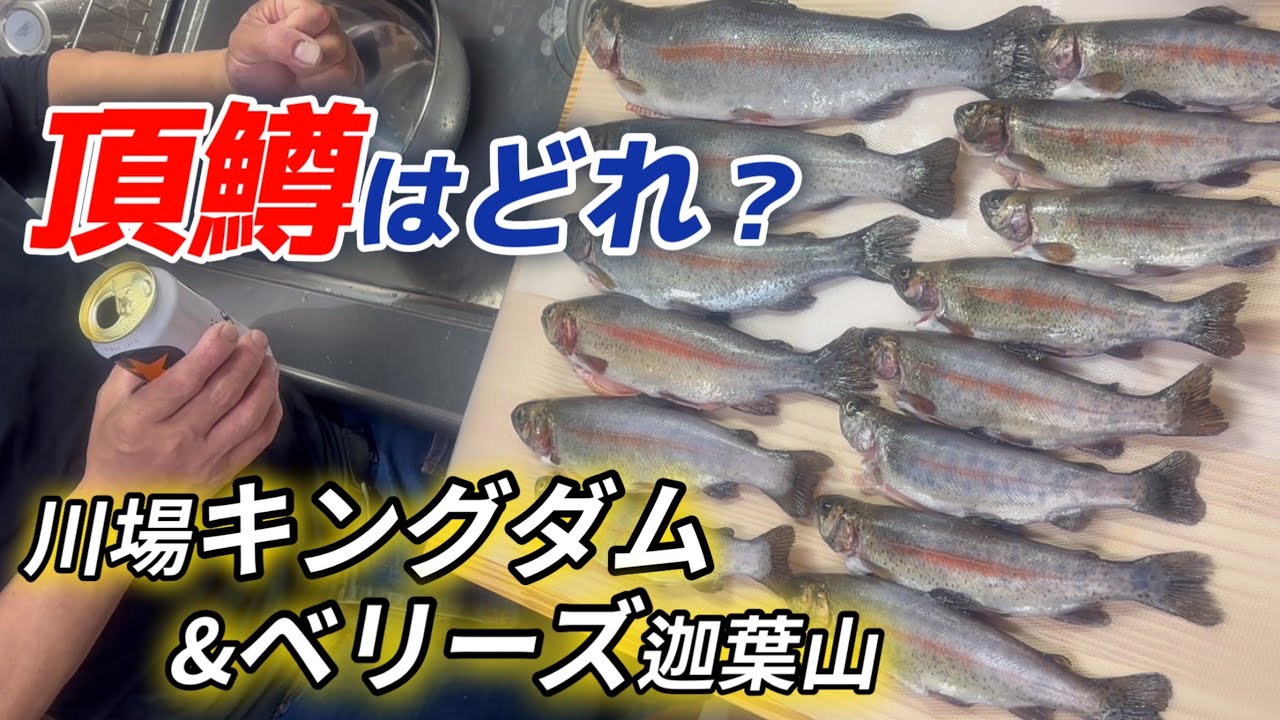 頂鱒はどれ？川場キングダムからのベリーズ迦葉山で連日エリアトラウト