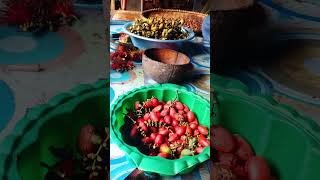 GNETUM GNEMON bahasa ilmiahnya buah TANGKIL #shorts