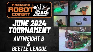 Antweight B & Beetleweight League - June 2024 Tournament