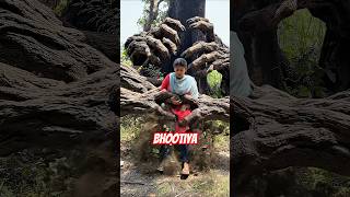 School ke raste wala darawna ped 😱👻🌳 #shorts #bhoot #bhootwala #funny #comedy