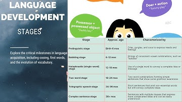 Stages of Language Development A Journey from Babbling to Fluency