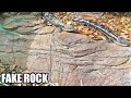 Making fake rock features in the reptile pits