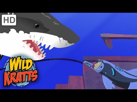 Wild Kratts | Speaking Dolphinese | Full Episode | Season 2