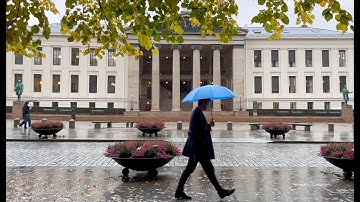 Rainy days and books in Oslo / Slow living vlog Norway