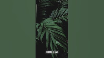 Denzel Washington The Power of Self Discipline  Build Unstoppable Habits