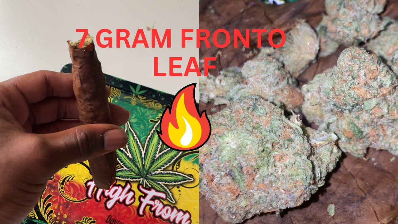 FACING A 7 GRAM FRONTO LEAF