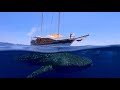 Ocean Discovery Tour - Whaleshark Encounter In Maldives