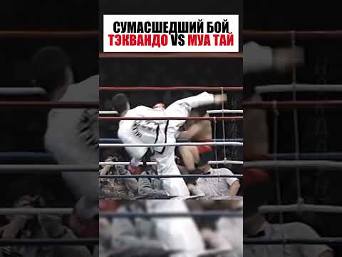 Сумасшедший бой между бойцами тэквондо и муа тай