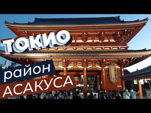 Бейне: Токиодағы Сенсо-джи храмы: толық нұсқаулық