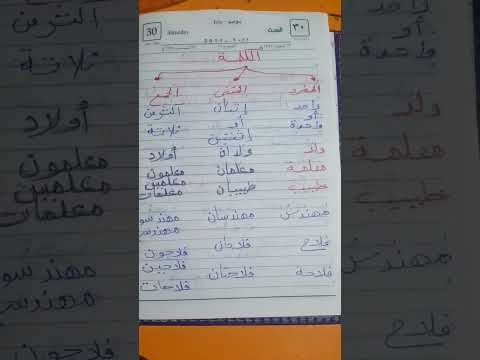 أنواع الكلمة من حيث العدد المفرد والمثنى والحمع مس علياء شهاب