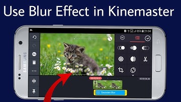 How to use Blur Effect in Kinemaster