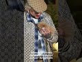 Так мило! Собачка Филиппа Леонардо впервые на гастролях! 22.04.2026 #киркоров #интервью #спб #shorts