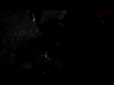 Hắc Bạch Nữ hiệp .Trương mẫn khuư Thục Trinh - youtube