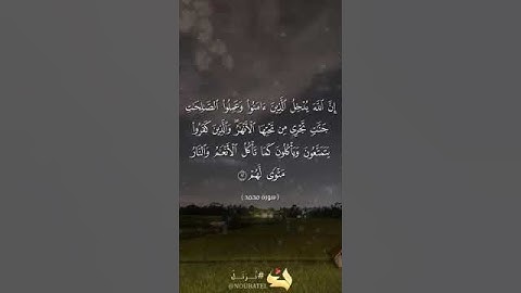 إن الله يدخل الذين آمنوا وعملوا الصالحات جنات...بصوت أبي المنتصر #سورة_محمد #آيات #تدبر #ترتيل