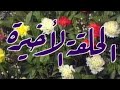 مسلسل الدمنهورى وشريكه الحلقه الاخيره