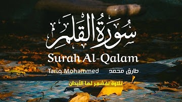 سورة القلم (كاملة)..💙| بصوت القارئ طارق محمد | Surah Al-Qalam