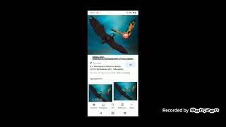 King Gojira Tacını Taxtı Rodan Kimdirkaiju Göstər