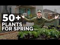 50+ Plants I'm Growing In My Spring Garden 🌱 🌷 🥕