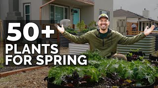 50  Plants I'm Growing In My Spring Garden 🌱 🌷 🥕