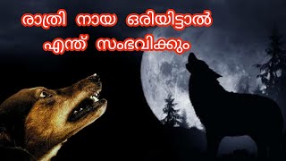 വീടുകളിൽ നായ ഓരിയിട്ടാൽ ഉള്ള ഫലങ്ങൾ