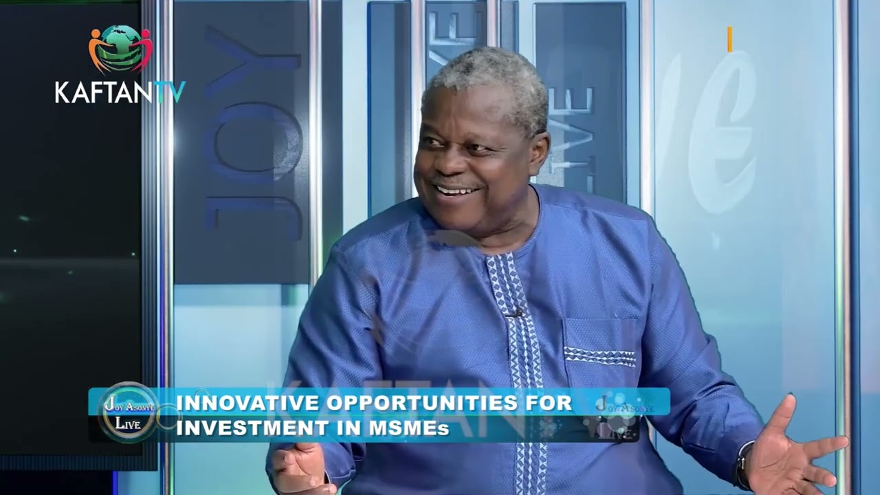 INNOVATIVE OPPORTUNITIES FOR INVESTMENT IN MSMEs | JOY ASONYE