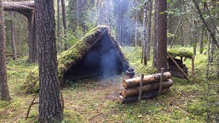 Solo Bushcraft Overnight - Moss Shelter, Natural Spring Water, Firewood Shack, Campfire Cooking