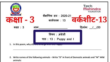 EDMC Class 3 English Worksheet week 13 solved | Lesson 13 Puppy and I | Marigold Chapter 13