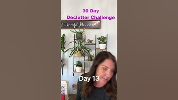 Day 13 - 30 Day De-Clutter Challenge from the Minimalists | #shorts